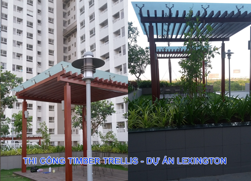 THI CÔNG XD DỰ ÁN LEXINGTON